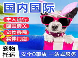 张家界荷花航空物流国际宠物托运 【国